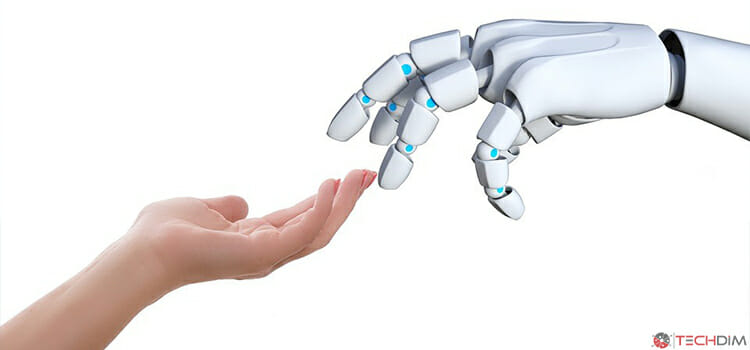 Startup in the Robotics Market