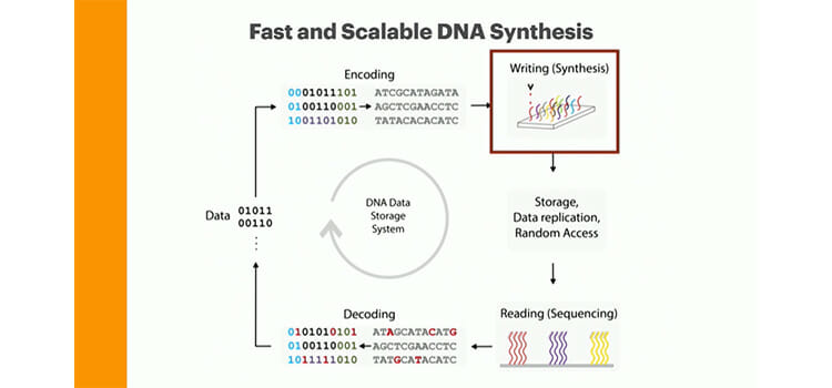 How DNA Storage Works