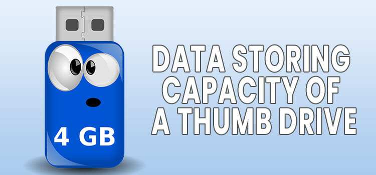 Data Storing Capacity of a Thumb Drive