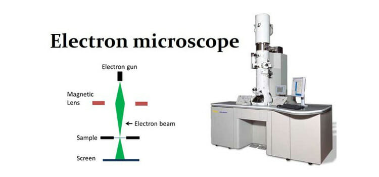 The Electron Microscope