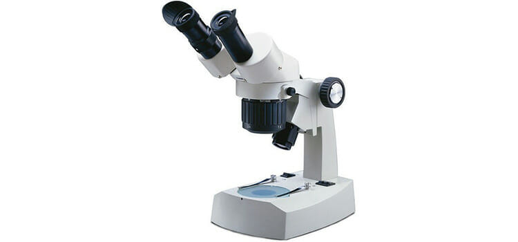 The Stereo Microscope