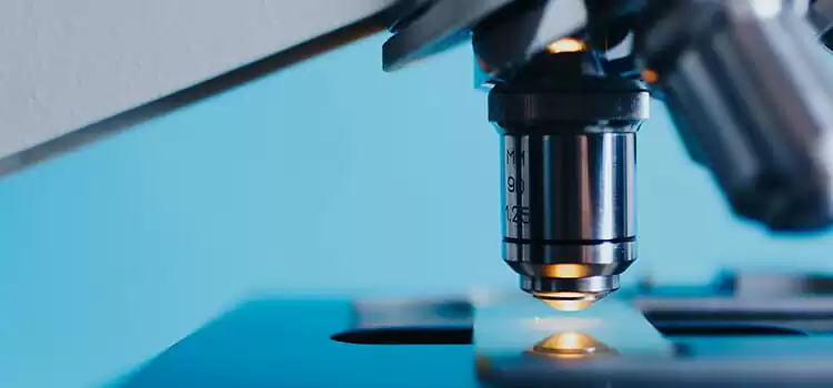 Types of Microscopes | All You Need to Know