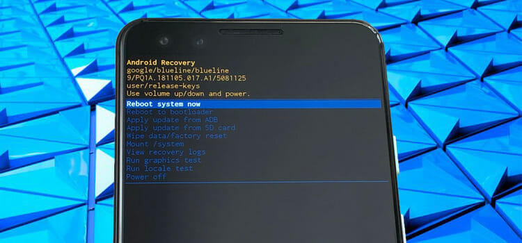 Recovery-Mode