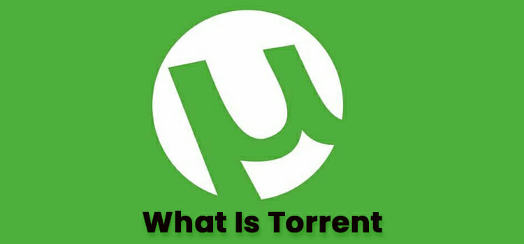 What Is Torrent