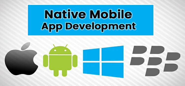 Overview of Native Mobile App Development: Everything You Should Know