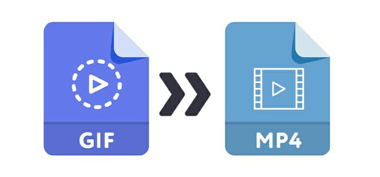How to Save a GIF as a Video on Windows | Android