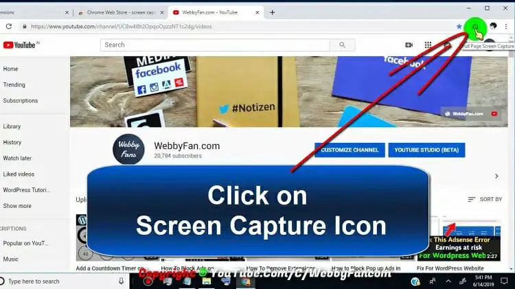 Click on the screen capture icon as the figure suggests.