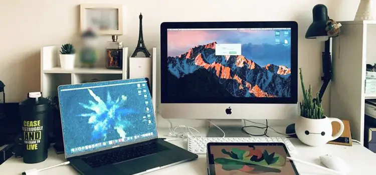 5 Work From Home Essentials for the Perfect Home office Setup