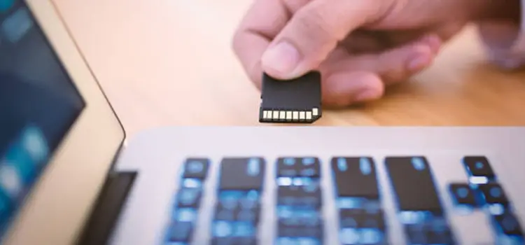 SD Card Data Recovery Three Methods to Recover SD Card Files from an SD Card on Mac