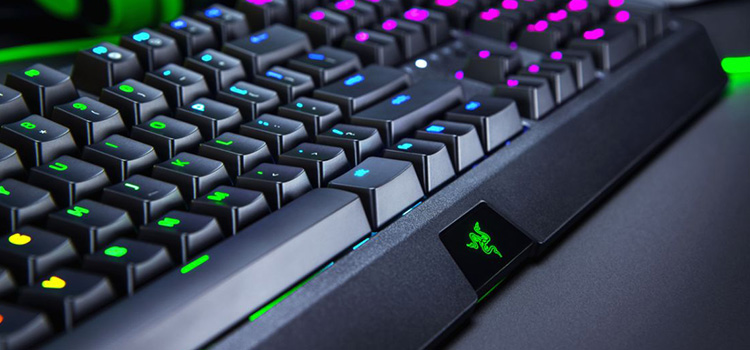 How to Turn Off Macro Razer Blackwidow