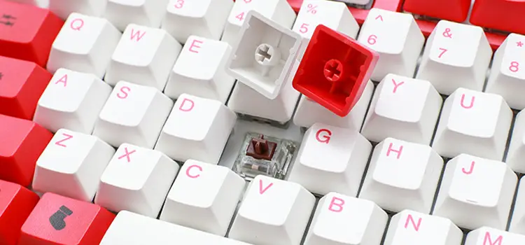 Do Cherry MX Keycaps Fit on Kailh Box Switches