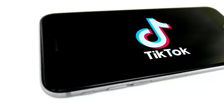 TikTok 101 How to Use TikTok and What it Can Do For You