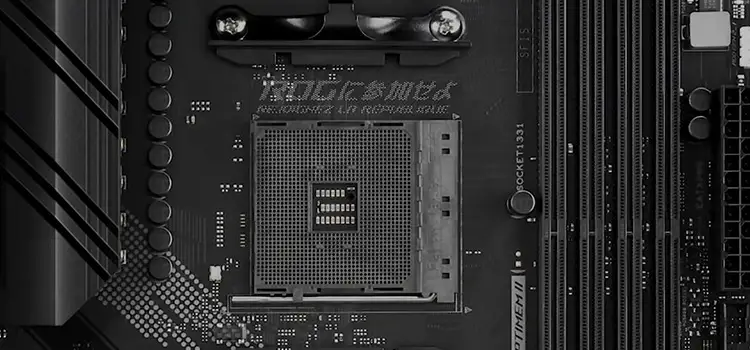 Can AMD Motherboards Use Nvidia Cards? Know the Fact!