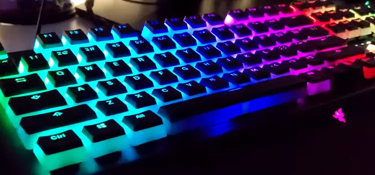 Do HyperX Keycaps Work on Other Keyboards (Guide to Know)