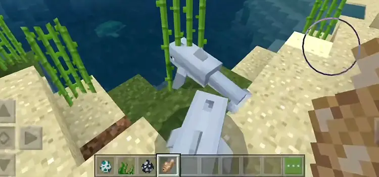 How to Breed Dolphins in Minecraft | Easy Guide