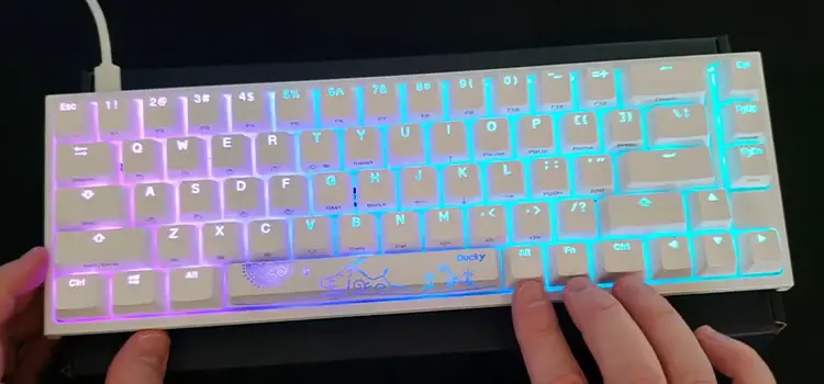 What Profile Are Ducky Keycaps? [ANSWERED]