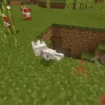 How To Get Wolves To Spawn In Minecraft
