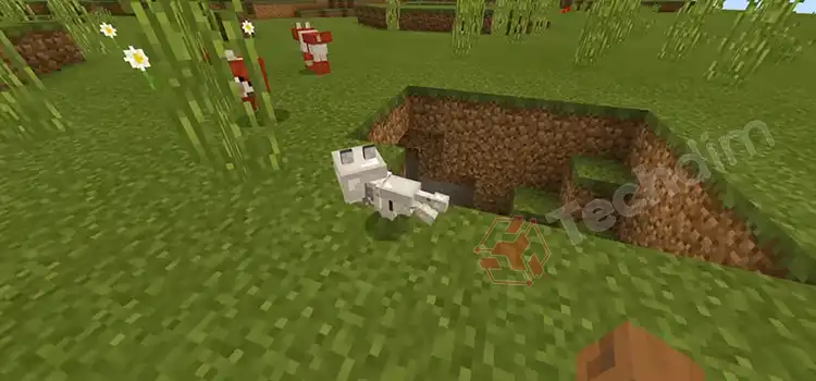 How To Get Wolves To Spawn In Minecraft