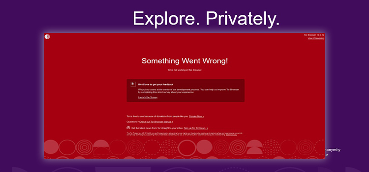 Something Went Wrong! Tor Is Not Working In This Browser