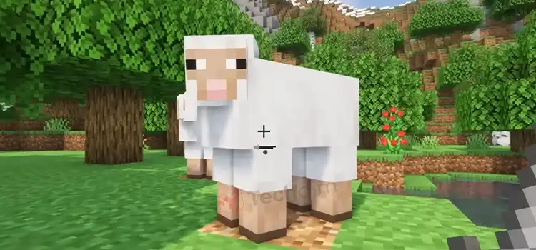 How to Find a Wolf in Minecraft