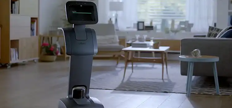 5 ways to use robots at home