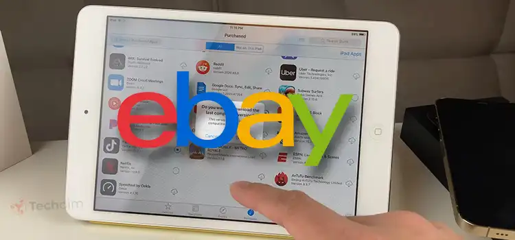eBay App For IPad Not Working