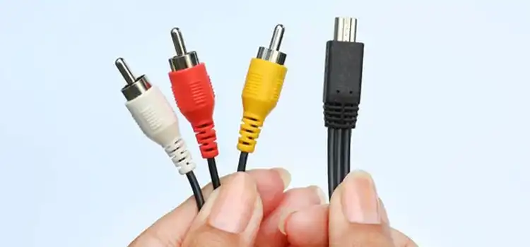 Can I Use a Regular RCA Cable for Subwoofer