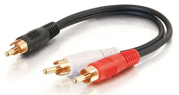Single vs. Dual RCA Connections