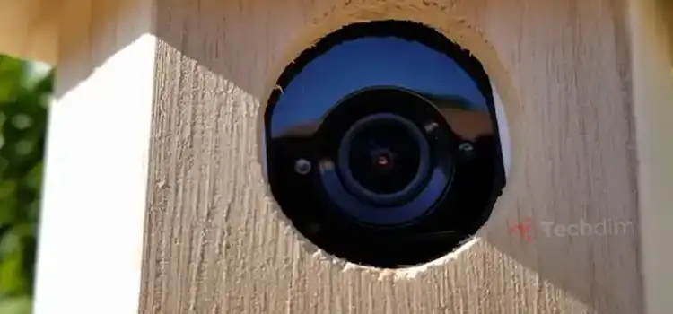 How to Hide Wyze Camera